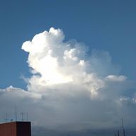 みゆさんのアイコン画像