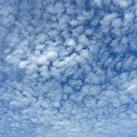 こむさんのアイコン画像