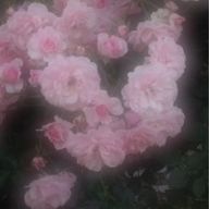 もぐさんのアイコン画像