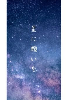 12人はホシの殺し屋です。