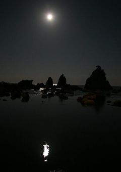 夢から醒めた夢