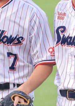 　飼 わ れ る な ら 7 さ ん が い い　.