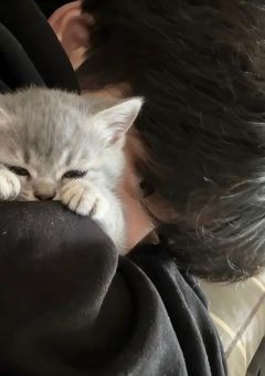  虜 