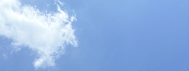 気　ま　ぐ　れ　。　低浮上🫧さんの壁紙画像