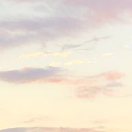 呉さんのアイコン画像