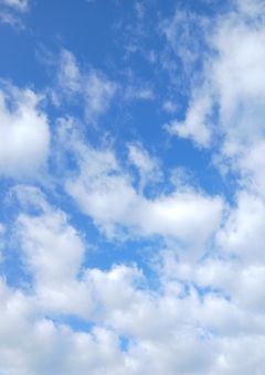 　～　起　きたら　ここ　どこ　!?　～　「　推　し　ミ　ュ　を　添　えて　見　てる　。　」