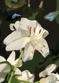 百合が見たいだけなのに