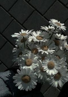 オリジナル小説 短編集