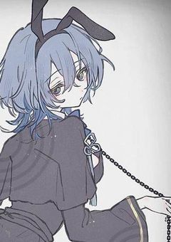    🐰 短編 / 長編 .