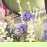 海さんのアイコン画像