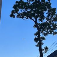 🫠さんのアイコン画像