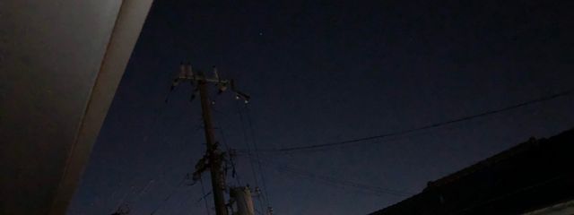 白蛇だぞ⭐︎さんの壁紙画像