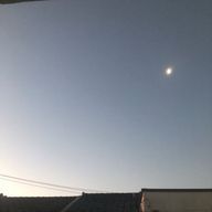 白蛇だぞ⭐︎さんのアイコン画像