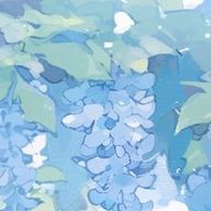星宮さんのアイコン画像