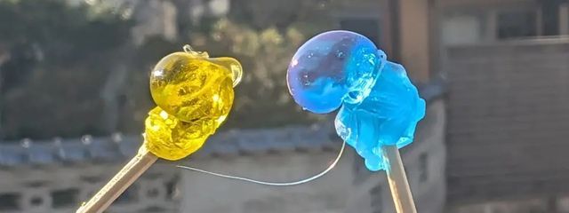 Momo@kairiとペア画ちゅ～#kairi頑張って！さんの壁紙画像