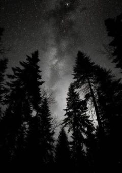 silさんの雑絵部屋