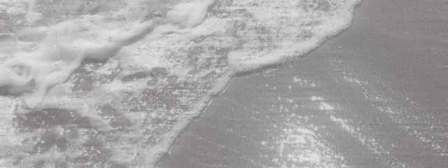 ざんねんなはーふさんの壁紙画像