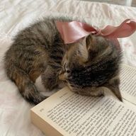 i.m.さんのアイコン画像