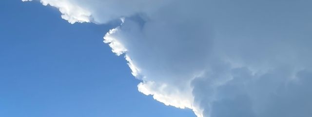 Annkaさんの壁紙画像