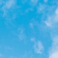 apple さんのアイコン画像