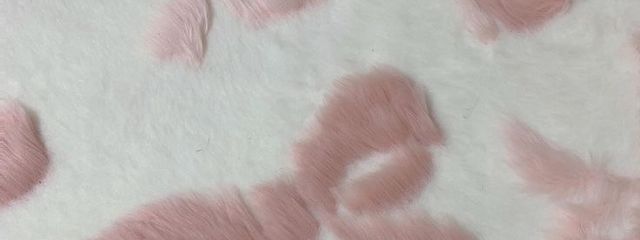 .さんの壁紙画像