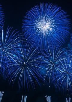 触れたらきっと、戻れない。