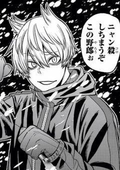 【更新停止中】化け猫と化け狐