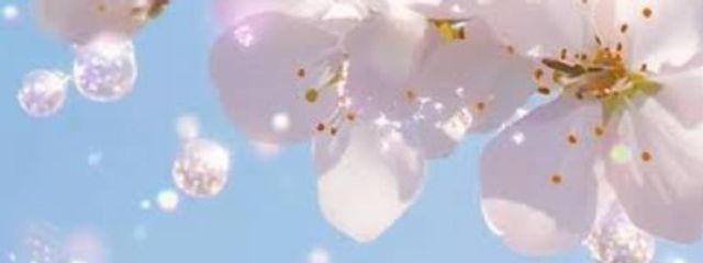 咲桜さんの壁紙画像