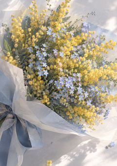 あなたの隣は、ゆっくり花が咲く