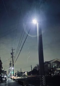 幼馴染に偽ぶりバレました☆