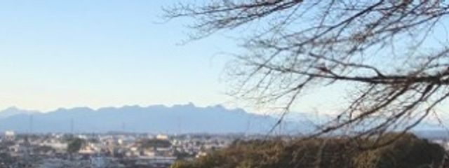 あゆみ@杉山紀彰はいいぞさんの壁紙画像