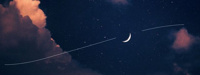 モイス・ルナ【🅿️】さんの壁紙画像