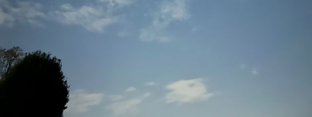 もかさんの壁紙画像