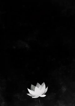 cxxv 暗話短編集