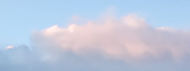 蜂蜜さんの壁紙画像