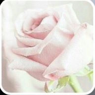 亜弓さんのアイコン画像