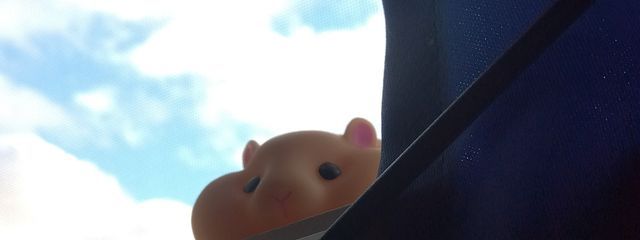 Rinさんの壁紙画像