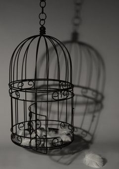 不可侵のロストエデン