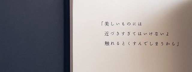 ほいっぷさんの壁紙画像