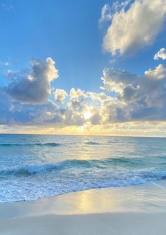 ネタ提供か怪しいネタ提供