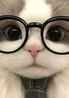 【お勉強中】