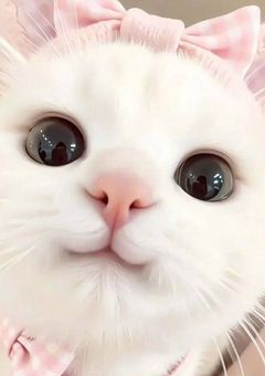 おイラスト