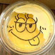 さくらもちさんのアイコン画像