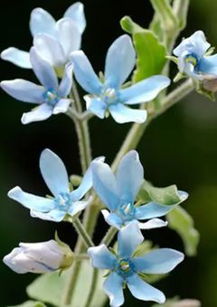 いつか別れの日が来るまで