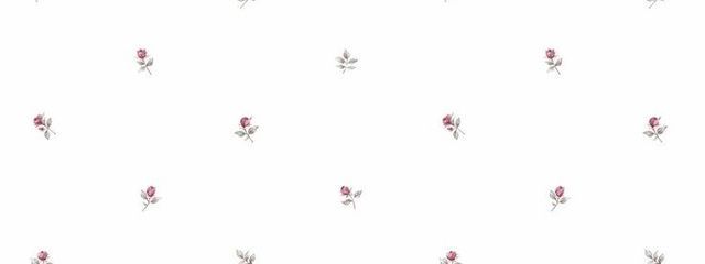 めｯ ろさんの壁紙画像