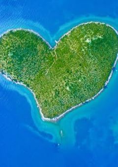 今日好きになりました。