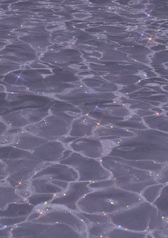 ♡ ⌇  # tag  🪞🌕🪽
