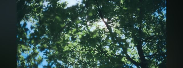 夏音さんの壁紙画像