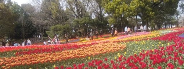 こゆき@フォロバ💯@しばらく低浮上さんの壁紙画像