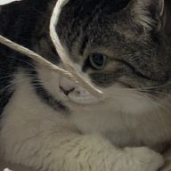 のー！！さんさんのアイコン画像